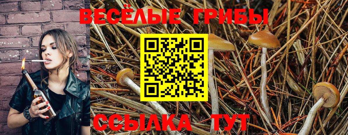 Ревда  Псилоцибиновые грибы MAGIC MUSHROOMS  Псилоцибиновые грибы прущие грибы  Вход с VPN 